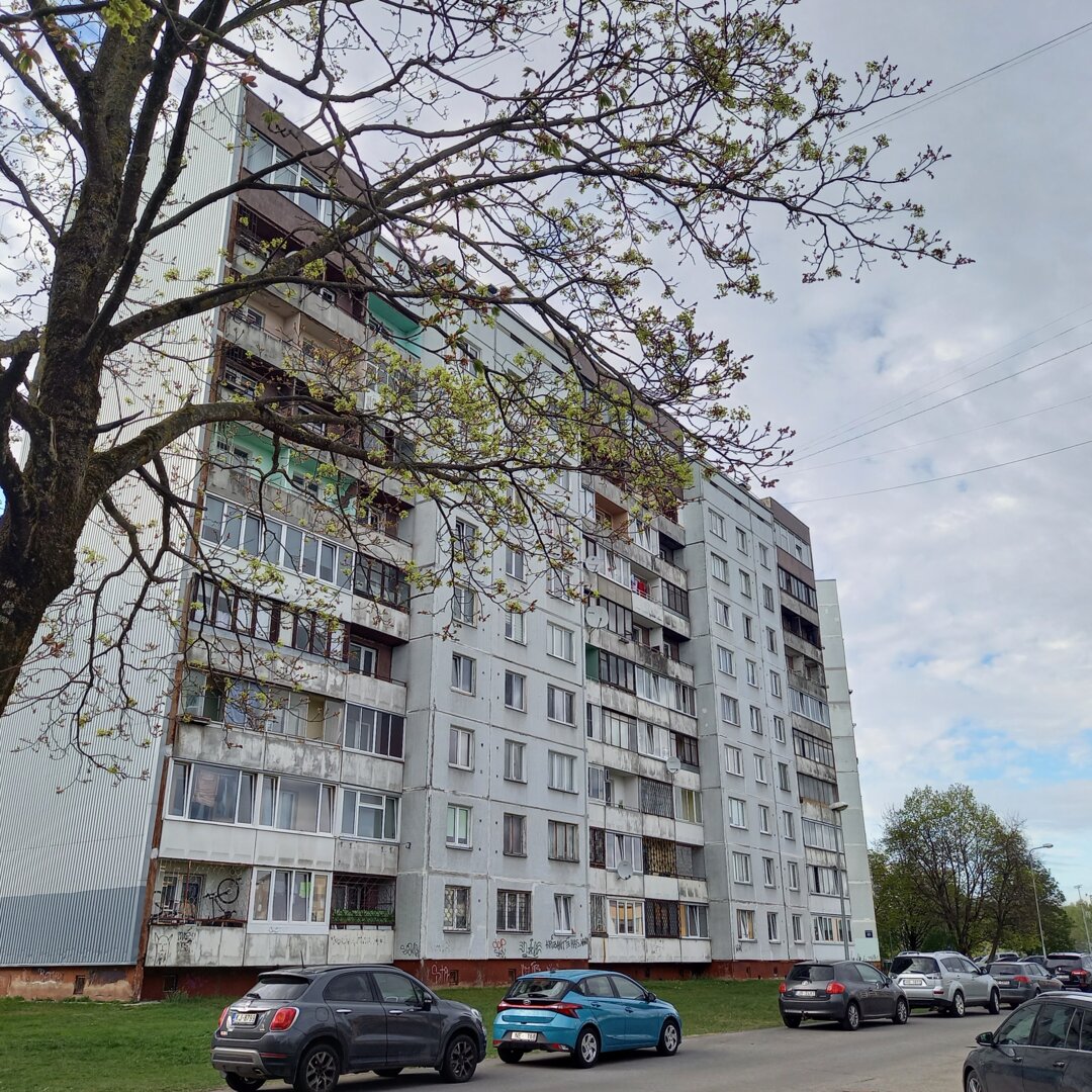 Eizenšteina 63