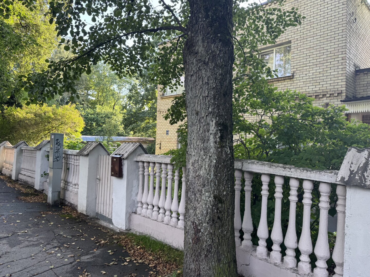 Kooperatīva 11