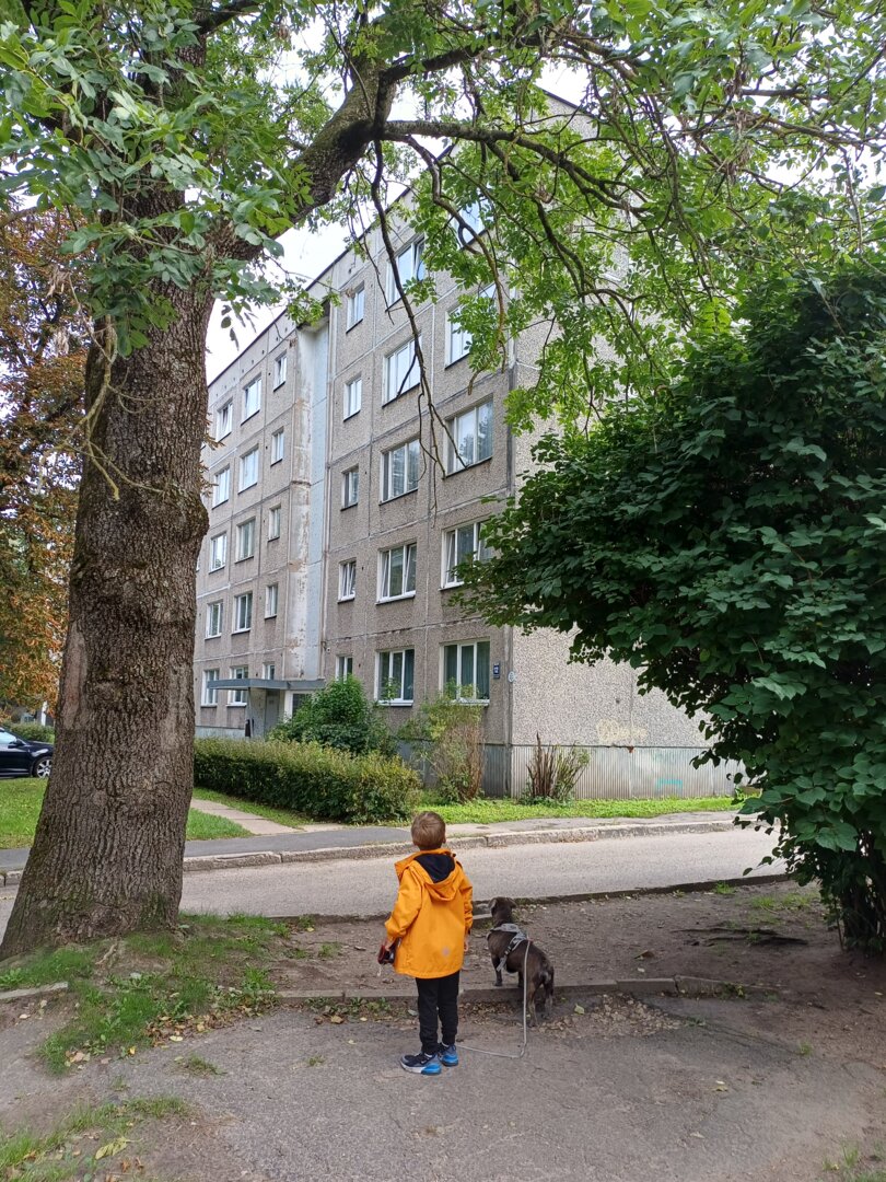 Riekstu 12